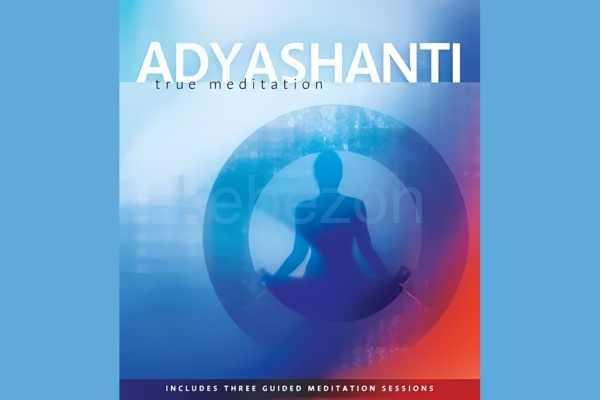 Adyashanti-The-Art-of-Meditation-Video-Study-Course-free-download