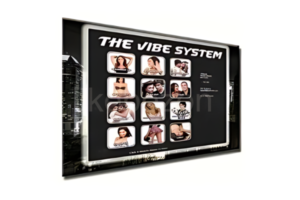 The-Vibe-System-Attracting-Hot-Women-Is-Incredibly-Eas-free-download