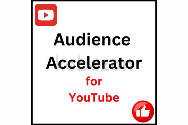 Audience-Accelerator-by-William-Lee-free-download