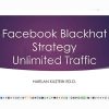 Blackhat-Facebook-Traffic-by-Harlan-Kilstein-free-download