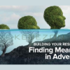 Building-Your-Resilience-Finding-Meaning-in-Adversity-By-Molly-Birkholm-free-download