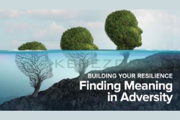 Building-Your-Resilience-Finding-Meaning-in-Adversity-By-Molly-Birkholm-free-download