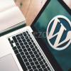 Create-a-Wordpress-Blog-From-Scratch-By-Stone-River-eLearning-free-download