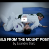 Details-from-the-mount-position-by-Leandro-Slaib-free-download