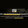 Elite-POD-Course-Playbook-by-jesse-Anselm-free-download