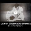 Half-Guard-sweeps-and-submissions-by-André-Monteiro-free-download