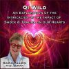 Qi Wild by Sara Allen free download