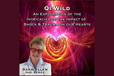 Qi Wild by Sara Allen free download