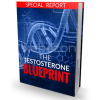 Testosterone-Blueprint-By-Bobby-Rio-free-download