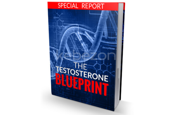 Testosterone-Blueprint-By-Bobby-Rio-free-download