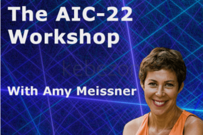 The-AIC-22-Workshop-by-Amy-Meissner-Aeromir-free-download