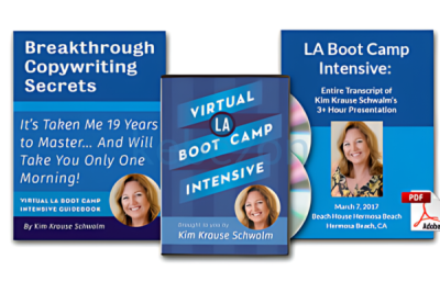 Virtual-LA-Boot-Camp-Intensive-by-Kim-Krause-Schwalm-free-download