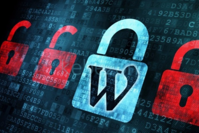 WordPress-Security-Secure-Your-Site-Against-Hackers-By-Stone-River-eLearning-free-download