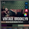 3D-LUT-Profile-Vintage-Brooklyn-by-Earth-Oliver-and-Sef-McCullough-free-download