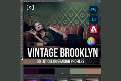 3D-LUT-Profile-Vintage-Brooklyn-by-Earth-Oliver-and-Sef-McCullough-free-download