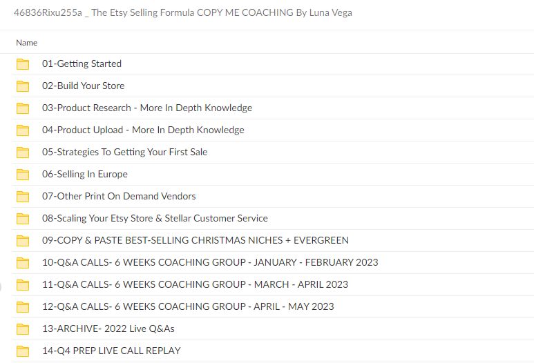 46836Rixu255a The Etsy Selling Formula COPY ME COACHING By Luna Vega