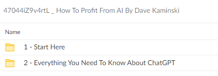 47044iZ9v4rtL How To Profit From AI By Dave Kaminski