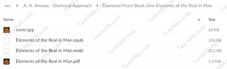 47276rKEMcw2s Diamond Heart Book One - Elements of the Real in Man By Hameed Ali