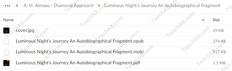 472774qjANhl8 Luminous Night's Journey - An Autobiographical Fragment By Hameed Ali