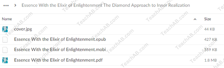 47279SLonIcBQ Essence with The Elixir of Enlightenment - The Diamond Approach to Inner Realization By Hameed Ali