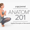 Anatomy-201-with-Karin-Gurtner-free-download