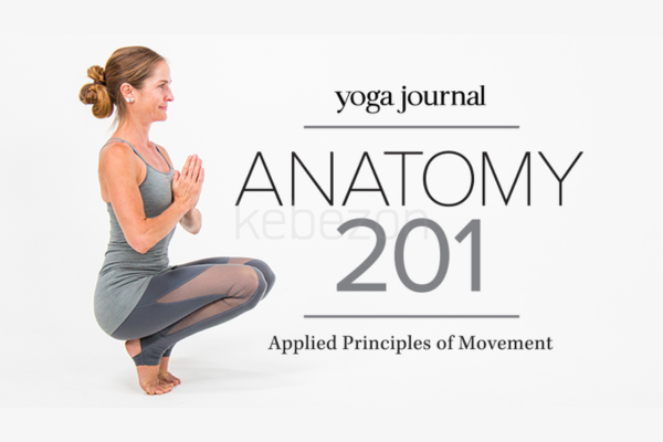 Anatomy-201-with-Karin-Gurtner-free-download