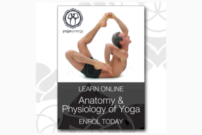 Anatomy-Physiology-of-Yoga-By-Bianca-Machliss-Simon-Borg-Oliver-Yoga-Synergy-free-download