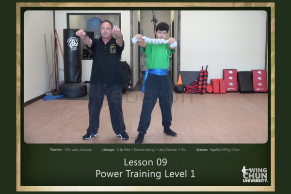 Applied-Wing-Chun-Lesson-009-Power-Training-Level-1-By-Larry-Saccoia-free-download