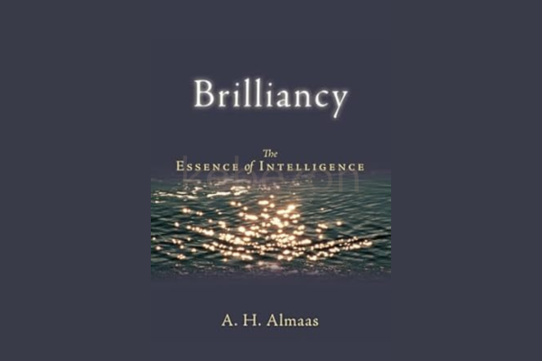 Brilliancy-The-Essenceof-Intelligence-Diamond-Body-Series-By-Hameed-Ali-free-download