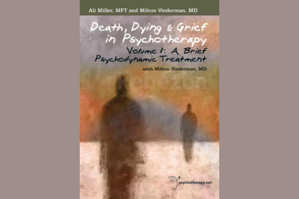 Death-Dying-Grief-in-Psychotherapy-A-Brief-Psychodynamic-Treatment-with-Milton-Viederman-free-download