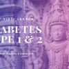 Diabetes-a-study-of-pancreatic-1-insulin-resistant-2-diabetes-by-Visti-Larsen-free-download