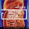 Digestive-system-Restore-Repair-Rejuvenate-Advanced-Version-By-Spirituality-Zone-free-download