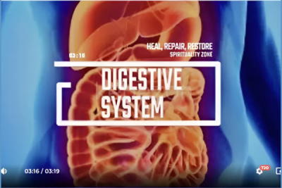 Digestive-system-Restore-Repair-Rejuvenate-Advanced-Version-By-Spirituality-Zone-free-download