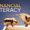 Financial-Literacy-Finding-Your-Way-in-the-Financial-Markets-By-Connel-Fullenkamp-free-download