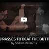 Guard-passes-to-beat-the-butterfly-by-Shawn-Williams-free-download