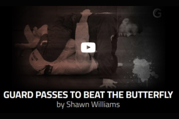 Guard-passes-to-beat-the-butterfly-by-Shawn-Williams-free-download