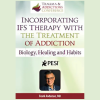 IFS-The-Treatment-of-Addictions-Biology-Healing-and-Habits-By-Frank-Anderson-PESI-free-download