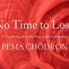 No-Time-to-Lose-A-timely-Guide-to-the-Way-of-the-Bodhisattva-Audio-by-Pema-Chodron-free-download