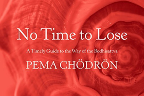 No-Time-to-Lose-A-timely-Guide-to-the-Way-of-the-Bodhisattva-Audio-by-Pema-Chodron-free-download