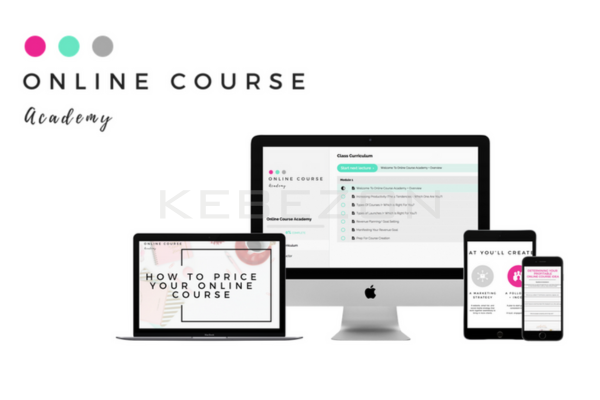 Online-Course-Academy-By-Amie-Tollefsrud-free-download