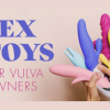 Sex-Toys-for-Vulva-Owners-5-Toys-Every-Vulva-Owner-Needs-By-Venus-O'Hara-free-download