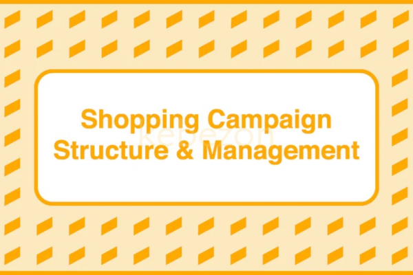 Shopping-Campaign-Structure-and-Management-by-Take-Some-Risk-free-download