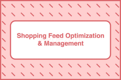 Shopping-Feed-Optimization-and-Management-by-Take-Some-Risk-free-download