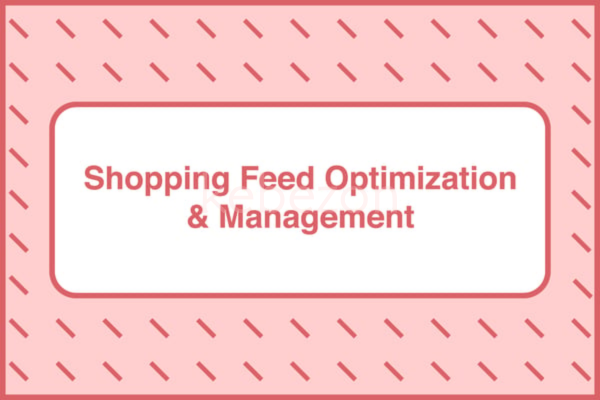 Shopping-Feed-Optimization-and-Management-by-Take-Some-Risk-free-download