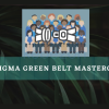 Six-sigma-Green-Belt-Masterclass-By-Stone-River-eLearning-free-download