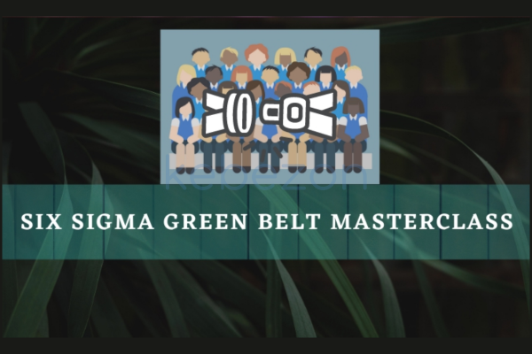 Six-sigma-Green-Belt-Masterclass-By-Stone-River-eLearning-free-download