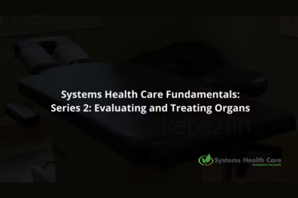 Systems-Health-Care-Fundamentals-Series-2-By-Stephen-Gangemi-Systems-Health-Care-free-download