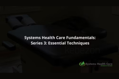 Systems-Health-Care-Fundamentals-Series-3-By-Stephen-Gangemi-Systems-Health-Care-free-download