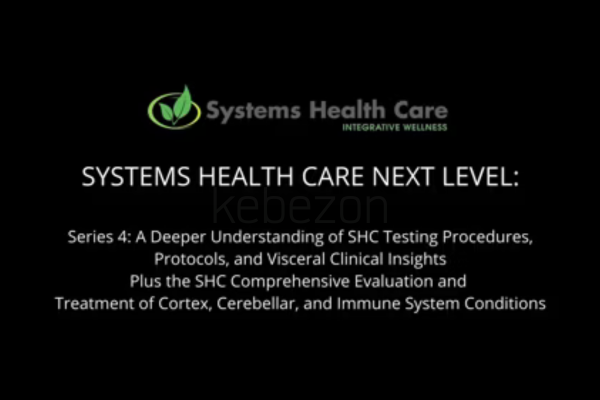 Systems-Health-Care-Next-Level-Series 4-By-Stephen-Gangemi-Systems-Health-Care-free-download