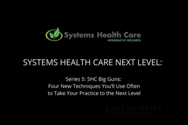 Systems-Health-Care-Next-Level-series-5-By-Stephen-Gangemi-Systems-Health-Care-free-download